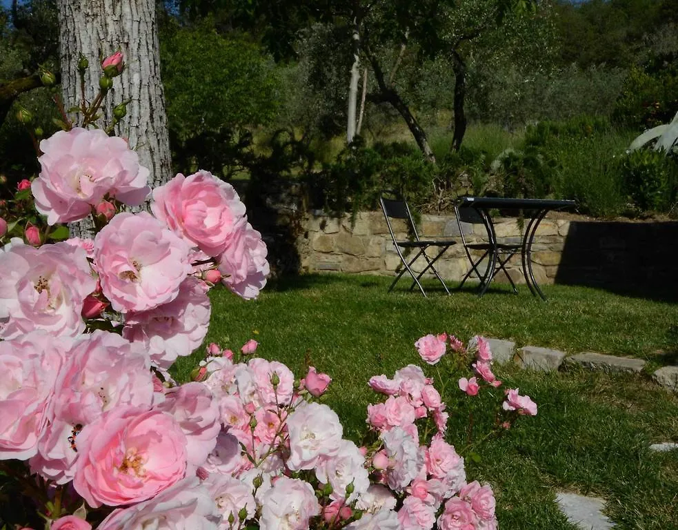 Alloggio per agriturismo Residenza San Leo Villa Figline Valdarno