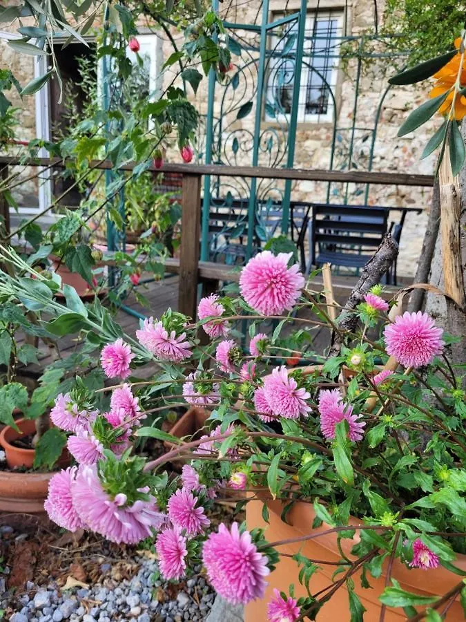 Agriturismo San Leo Villa Figline Valdarno