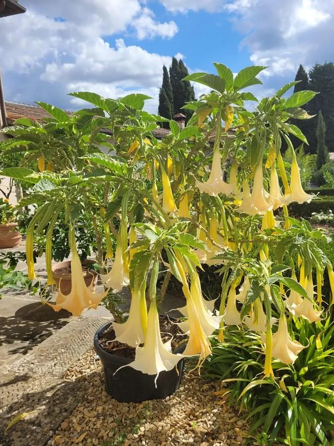 Farmház Agriturismo San Leo Villa Figline Valdarno Olaszország